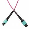 Patchcord światłowodowy MPO(F)-MPO(F) typu B, MM, 50/125, 12F, włókno OM4,  10m