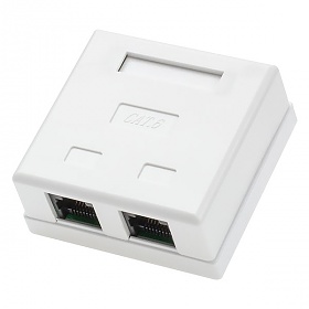 Puszka natynkowa, kat. 6, 2x RJ-45
