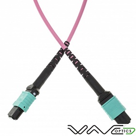 Patchcord światłowodowy MPO(F)-MPO(F) typu B, MM, 50/125, 12F, włókno OM4,  10m